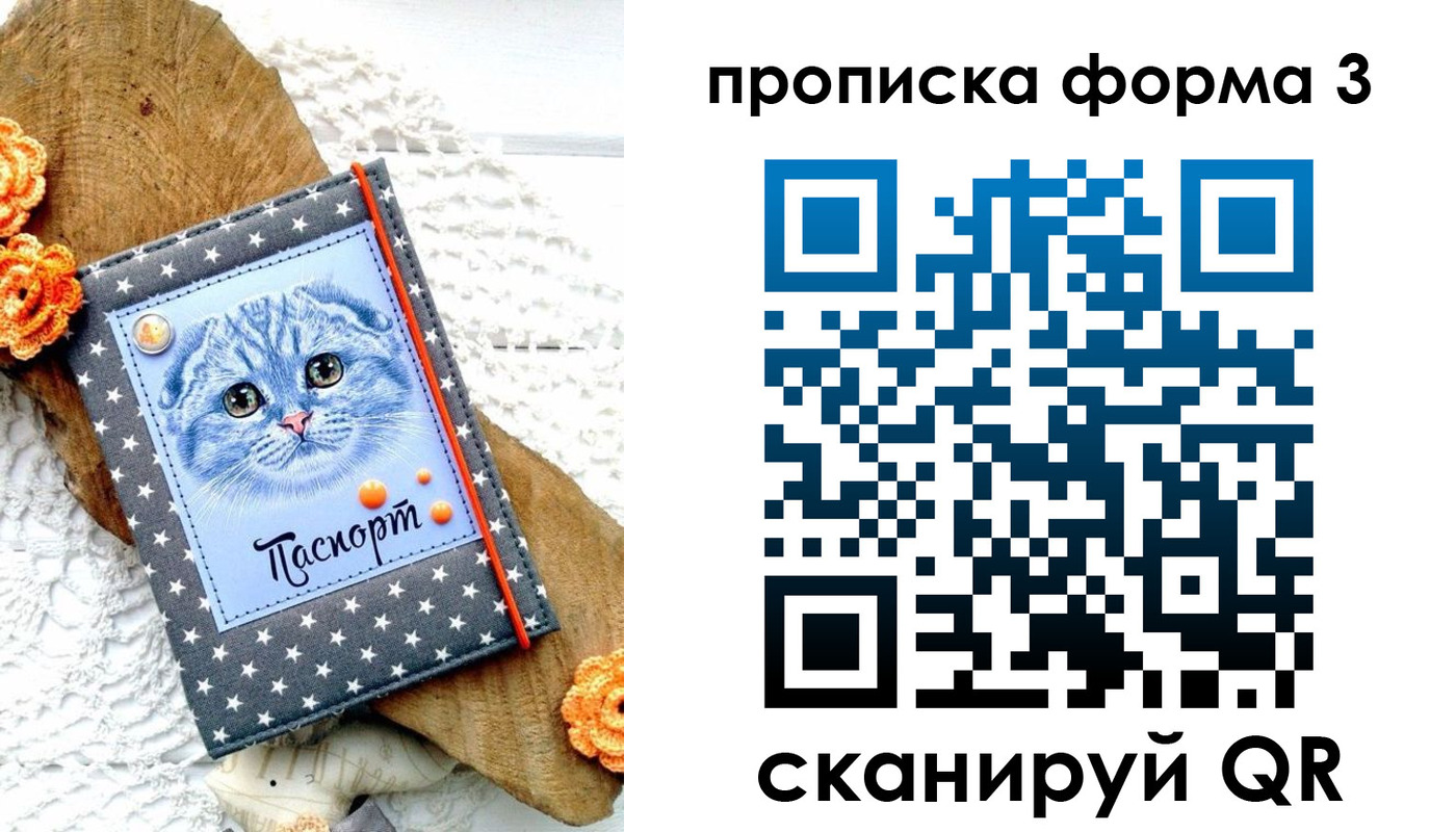 прописка поиск в Азнакаево